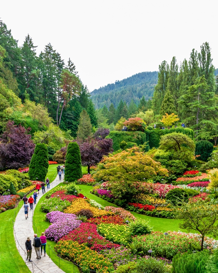 Butchart Gardens - Pat Ainger